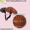 Ganoderma lucidum (Leyss.: Fr.) Karst/ganoderma lucidum extract capsules